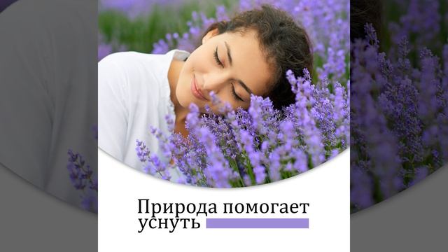 Фазы здорового сна смотреть онлайн