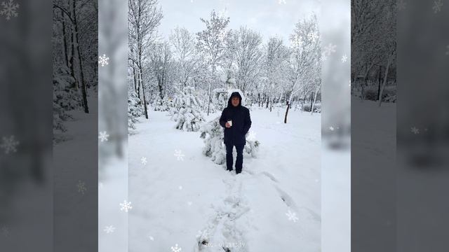 Зимняя сказка в парке