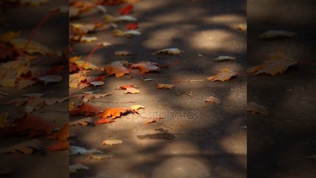 Сосчитаю листья осенние???капли дождя ?️?️?️Как финал счастья мгновения, уходящего октября... ??? смотреть онлайн