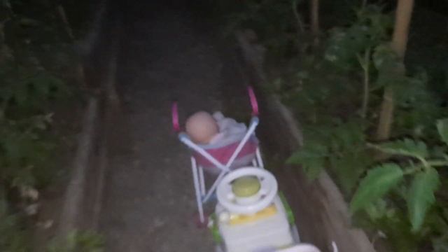 Ночью на огороде. В Якутии темнеет поздно и светает рано. смотреть онлайн