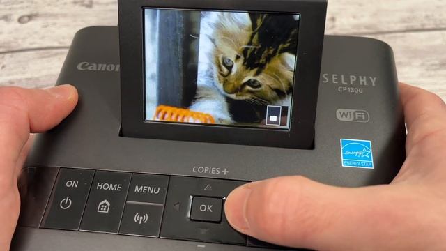 Canon SELPHY CP1300 Vs CP1500 Photo Printer
