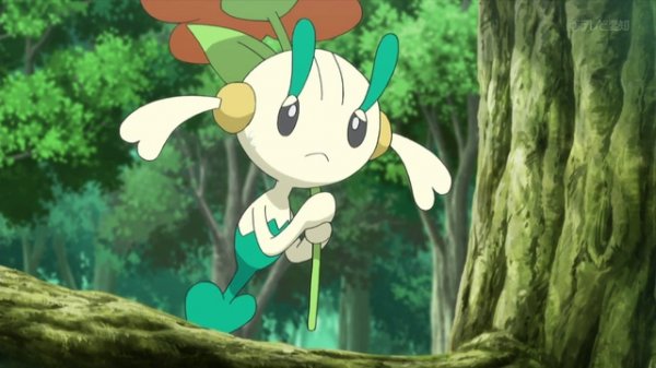 P0keXYZ11 AnimesDC.com