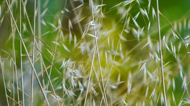 ⭐ЛЕГКАЯ МУЗЫКА ДЛЯ ЖИЗНИ! ДЛЯ ОТЛИЧНОГО НАСТРОЕНИЯ⭐ [БЕЗ АВТОРСКИХ ПРАВ] смотреть онлайн