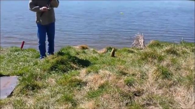 Рыбалка. Впервые поймал чукучана. смотреть онлайн