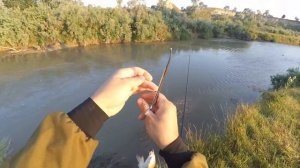 р  Кума, 25июля 2017 ловля усача