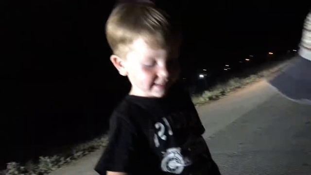 Смешные животные прикол Поймали ёжика ночью на трассе ребёнок счастлив смотреть онлайн