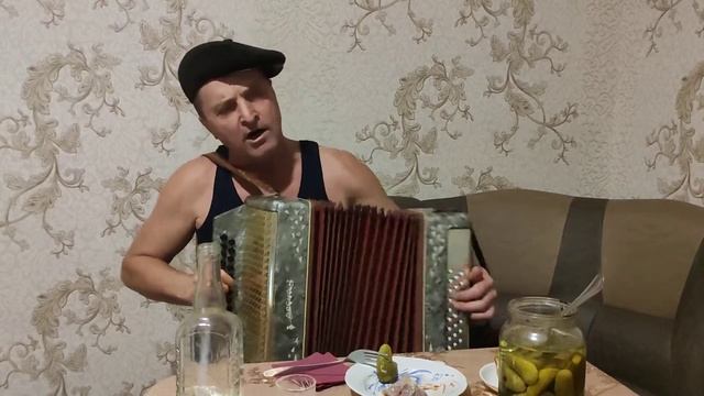 Смерека!!! ХІТ під гармонь!!! смотреть онлайн
