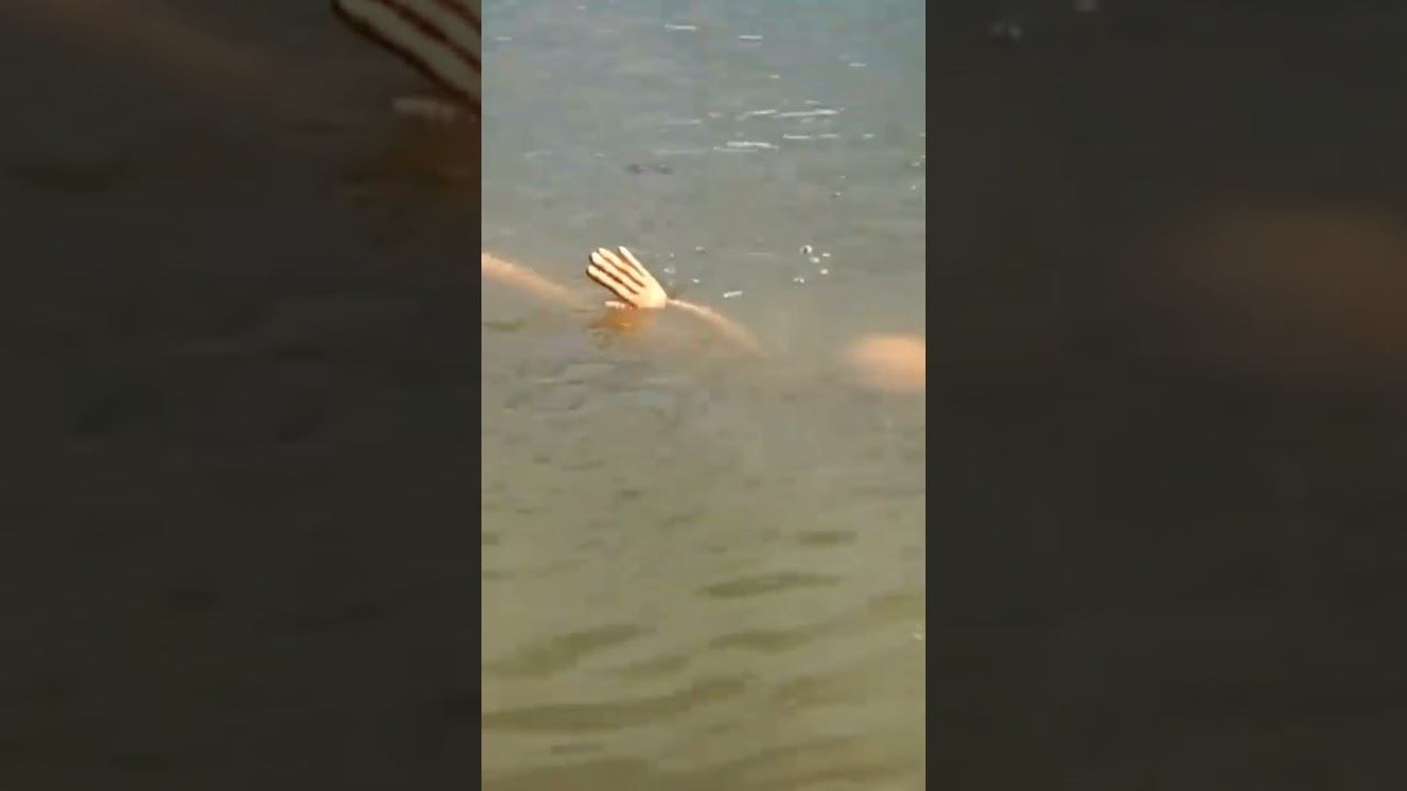 Никогда не бросайте магнит в воду! Самая жуткая находка под водой! смотреть онлайн