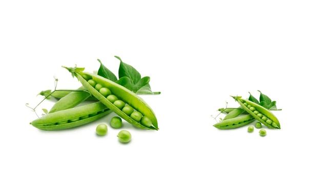 Развитие речи для детей 4-5 лет смотреть онлайн