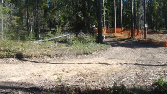 Скутер 2 собаки смотреть онлайн
