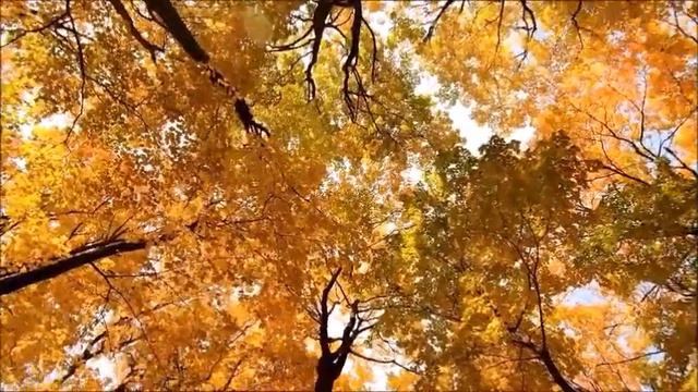 Музыка осени смотреть онлайн