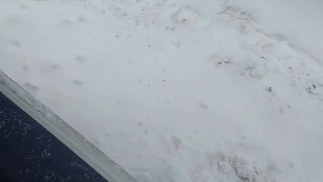 Контрактный двигатель Япония TOYOTA WISH / Тойота Виш / NZE14 0047264 A/T 4wd 04г 1ZZ-FE 2646806 смотреть онлайн