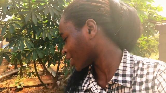 HOW TO PRODUCE HOUSEFLY MAGGOT | Catfish Farming in Nigeria #maggotproduct #bsf #thefarmlady смотреть онлайн