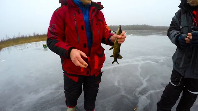 Первый выезд на лёд 2016/2017. смотреть онлайн