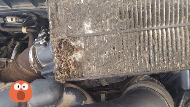 2017 Honda Odyssey Air Filter Replace - DIY смотреть онлайн