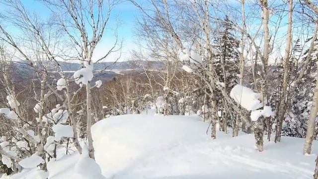 Александровск-Сахалинский район. Подъём на лыжах на высоту 743 метра смотреть онлайн