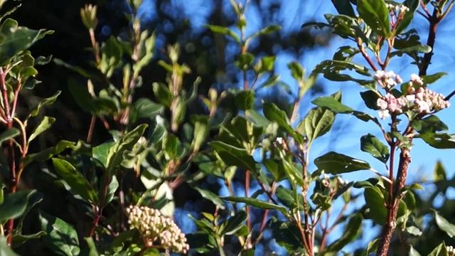 Sony slt a37 video test. смотреть онлайн