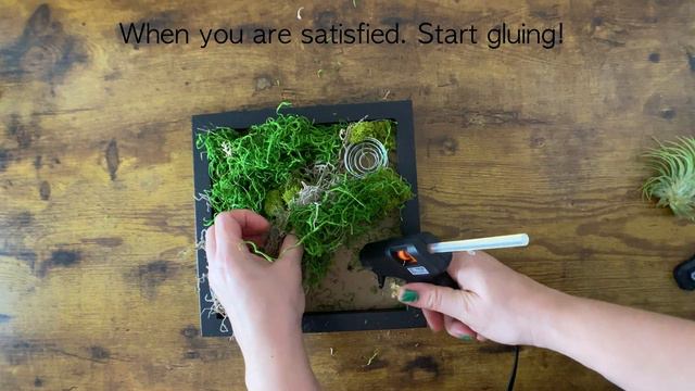 Holiday Plant Gift Ideas смотреть онлайн