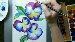 Анютины глазки акварелью