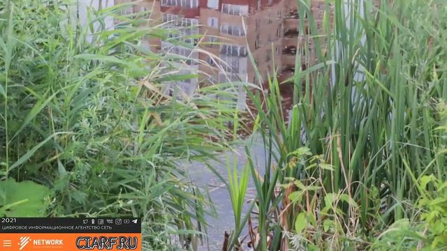 Как депутаты обещали сделать благоустройство... смотреть онлайн