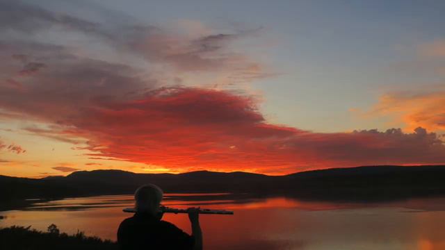 Tatsuko's Song - Bass Flute смотреть онлайн
