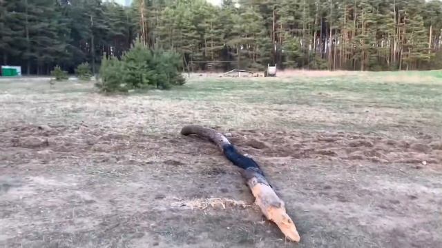Мотокросс на электросамокате смотреть онлайн
