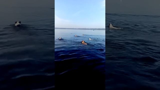 Изоплит часть 2 смотреть онлайн