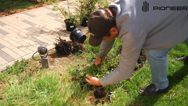 Восстановление озеленения Жилого Комплекса LIFE-Ботанический Сад смотреть онлайн