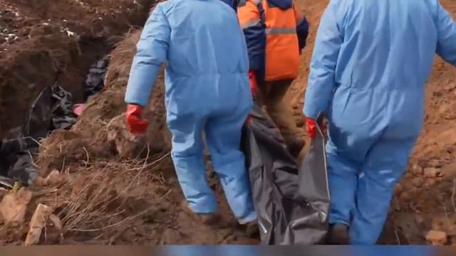 Денацификация. Что случилось в Мариуполе? смотреть онлайн