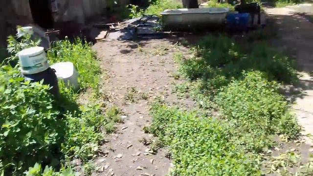 Навоз переезжает на соседский участок. Подготовка места под навоз. смотреть онлайн