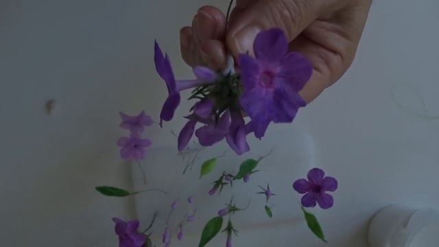ФЛОКС ИЗ ХФ ! смотреть онлайн