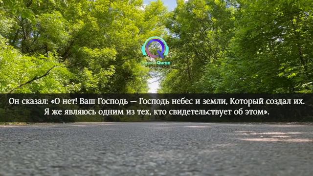 Сура Пророки слушайте коран каждый день, очень красивое чтение корана смотреть онлайн