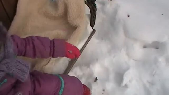 мишка косолапый смотреть онлайн