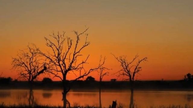 Growing Tulsi in Germany or other colder countries смотреть онлайн