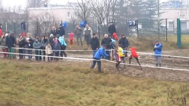 2^ prova Cross per tutti a Cesano maderno 19 gennaio 2014 смотреть онлайн
