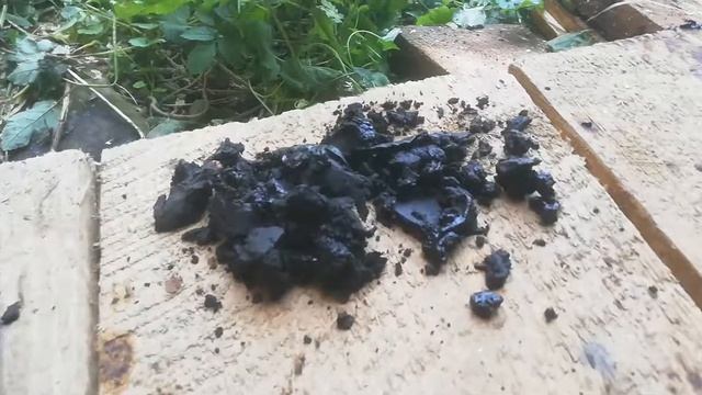 Заз Луаз обслуживание воздушно маслянного фильтра смотреть онлайн