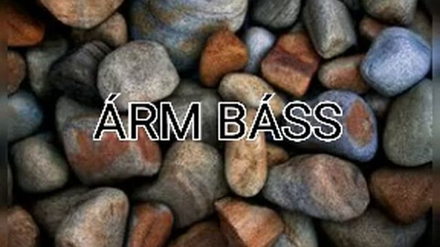 ARKADI DUMIKYAN - Никому Тебя Не Отдам FT. DJ LEVON ( ARMENIAN BASS REMIX ) смотреть онлайн