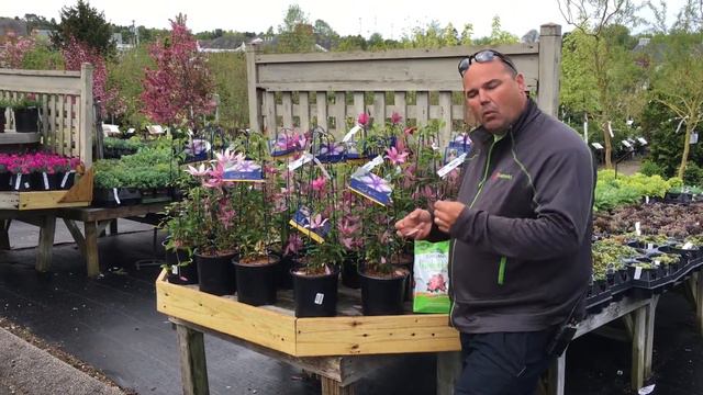 Raymond Evison Clematis смотреть онлайн