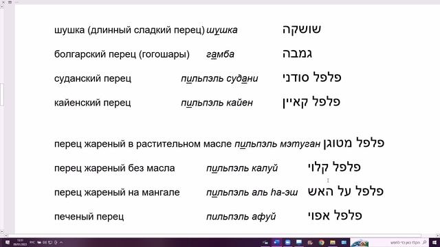 1559. Перец. Русско-ивритский разговорник. Необходимые слова и словосочетания на иврите смотреть онлайн