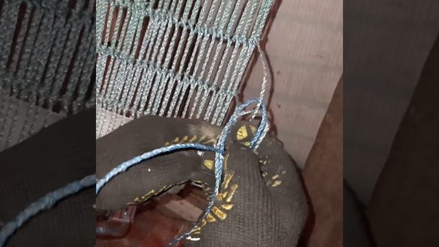 Гамак с пластиковой бутылки(соединяю две веревки) смотреть онлайн