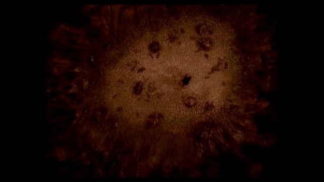 СТРАЖНИК ВЗЯЛ КОПЬЁ смотреть онлайн