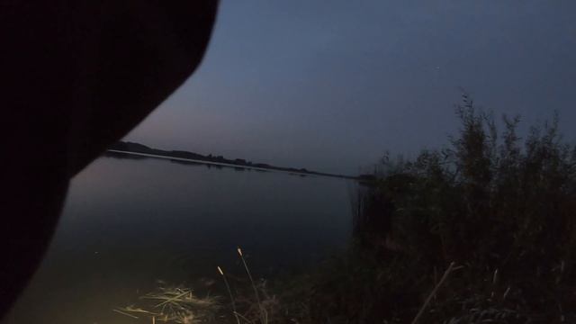 КАРАСЬ НА УТРИННЕЙ ЗОРЬКЕ! Рыбалка ЛЕТОМ с ночевкой Фидер, пикер смотреть онлайн