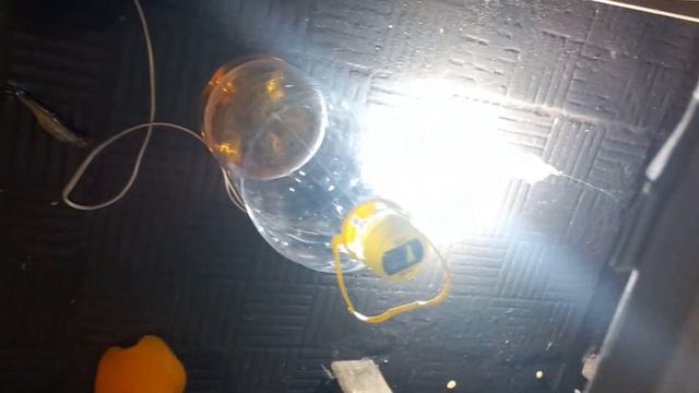 блок розжига ксенона