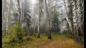 Ф М Достоевский Братья Карамазовы ЧАСТЬ 5  АУДИОКНИГА