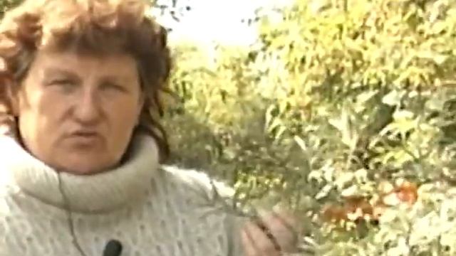 Прекрасная ягода - облепиха смотреть онлайн