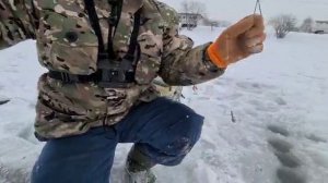 ловля толстолобика  зимой