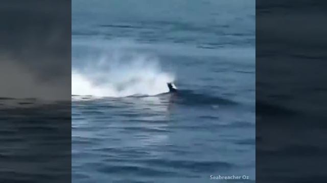 Самая крутая игрушка! смотреть онлайн