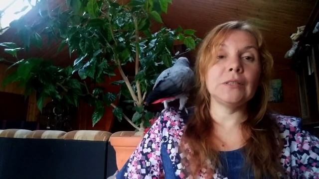 ПОПУГАИ ЖАКО | В ГОСТЯХ У ЯНЫ С ТОШЕЙ И КРОШЕЙ | ЧАСТЬ1 смотреть онлайн