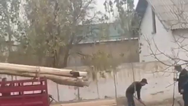 Стало известно, где и кто инсценировал посадку саженцев деревьев в Узбекистане смотреть онлайн