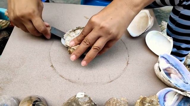 Жемчуг, пресноводный жемчуг и жемчуг морской воды. 30-летняя раковина смотреть онлайн